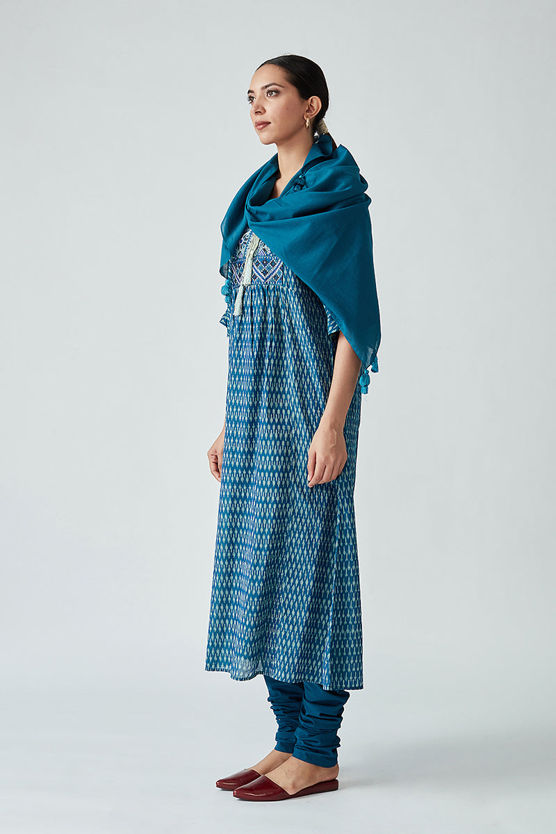 Limenitis handloom Ikat kurta