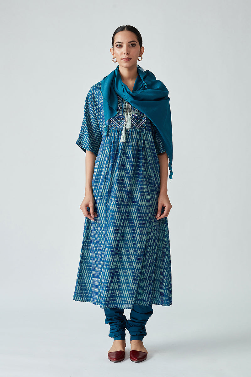 Limenitis handloom Ikat kurta
