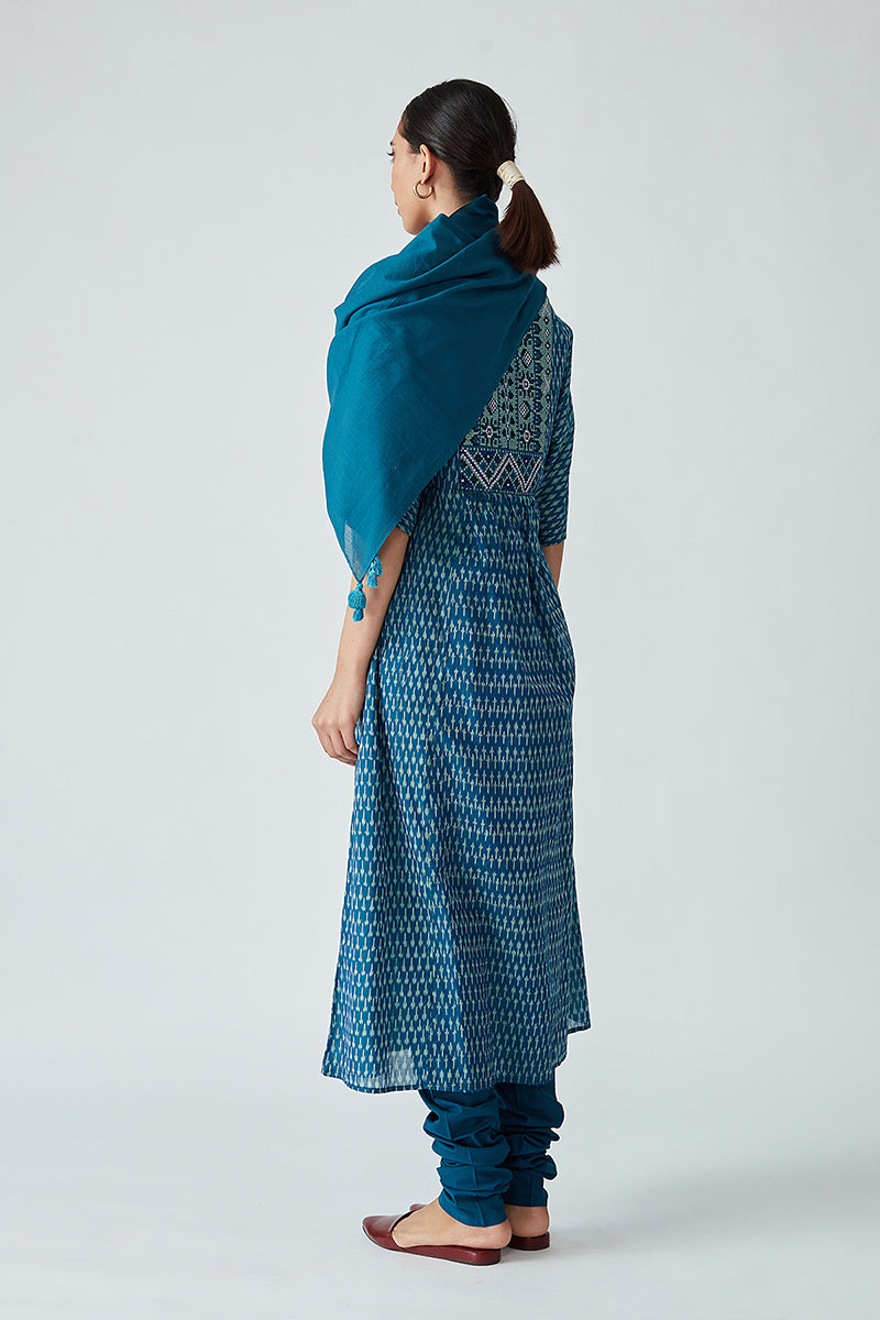 Limenitis handloom Ikat kurta